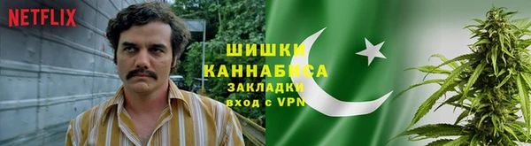 амф Алексин