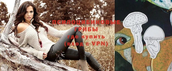 СК Алзамай