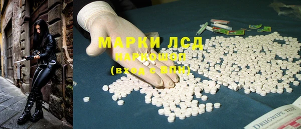 СК Алзамай