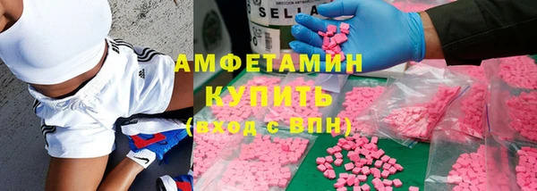 амф Алексин