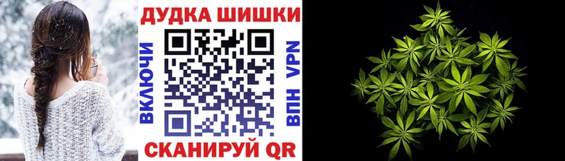 где продают наркотики  Опочка  Канабис семена 